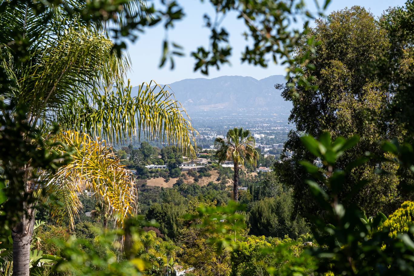 3371 Alana Drive, photo 12